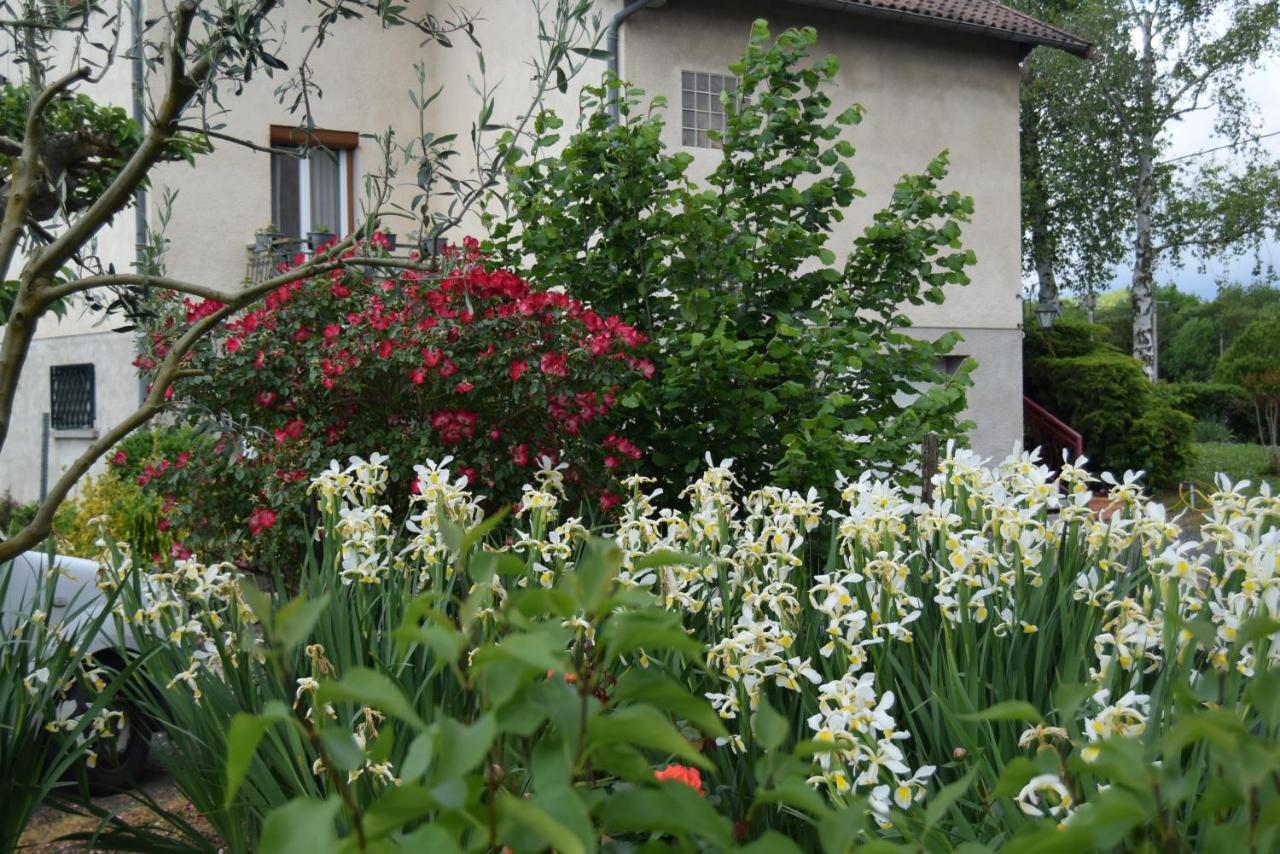 Bed and Breakfast Le Nid De L'Ecureuil Brens  Esterno foto